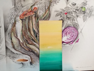 Palero Marco — detalle